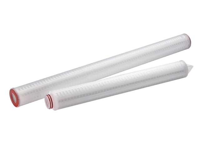 Evoqua Water Technologies Pleated Polypropylene Hi Temp Filter